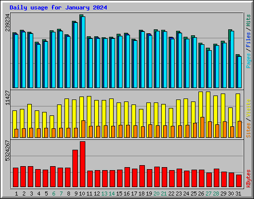Daily usage for January 2024