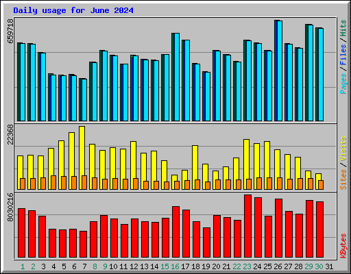 Daily usage for June 2024