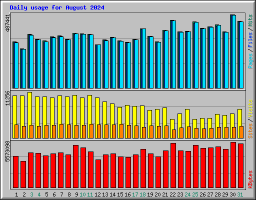 Daily usage for August 2024