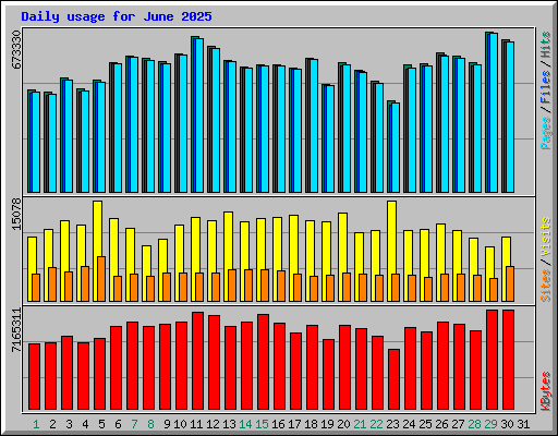 Daily usage for June 2025