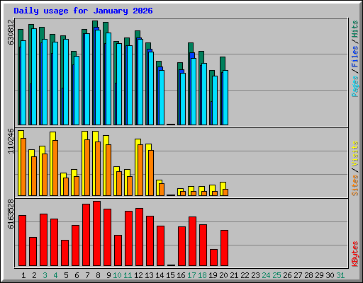 Daily usage for January 2026