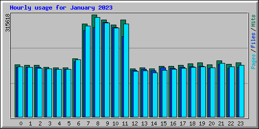 Hourly usage for January 2023