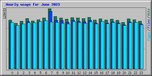 Hourly usage for June 2023