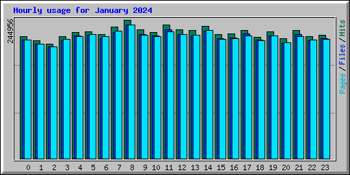 Hourly usage for January 2024