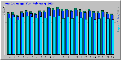 Hourly usage for February 2024