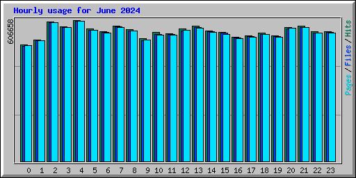 Hourly usage for June 2024