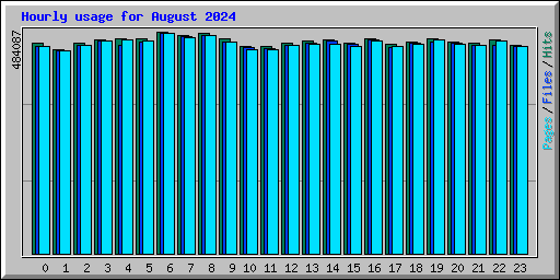 Hourly usage for August 2024