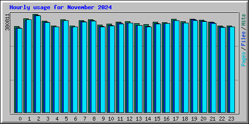 Hourly usage for November 2024