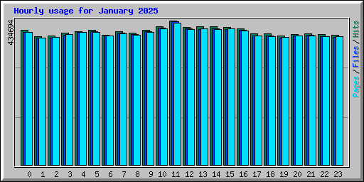 Hourly usage for January 2025