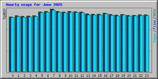 Hourly usage for June 2025