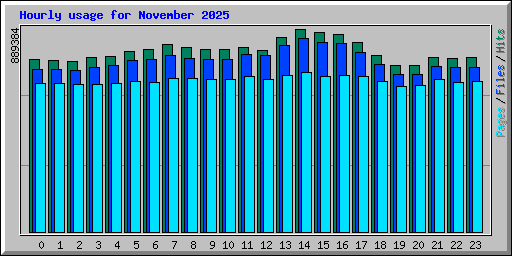 Hourly usage for November 2025