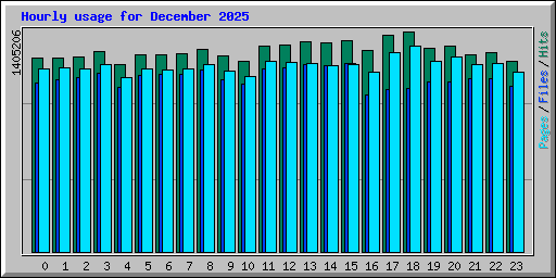 Hourly usage for December 2025