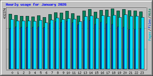 Hourly usage for January 2026