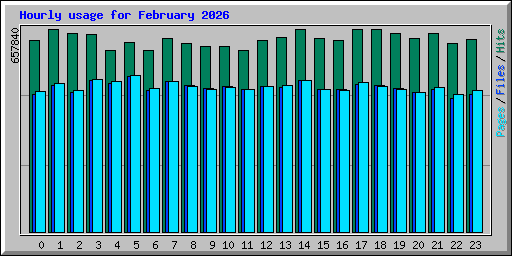 Hourly usage for February 2026